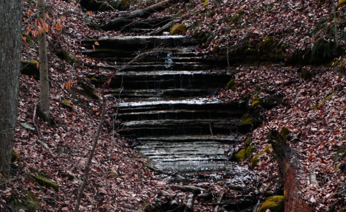 a small cascade along the hemlock cliffs scenic trail in indiana