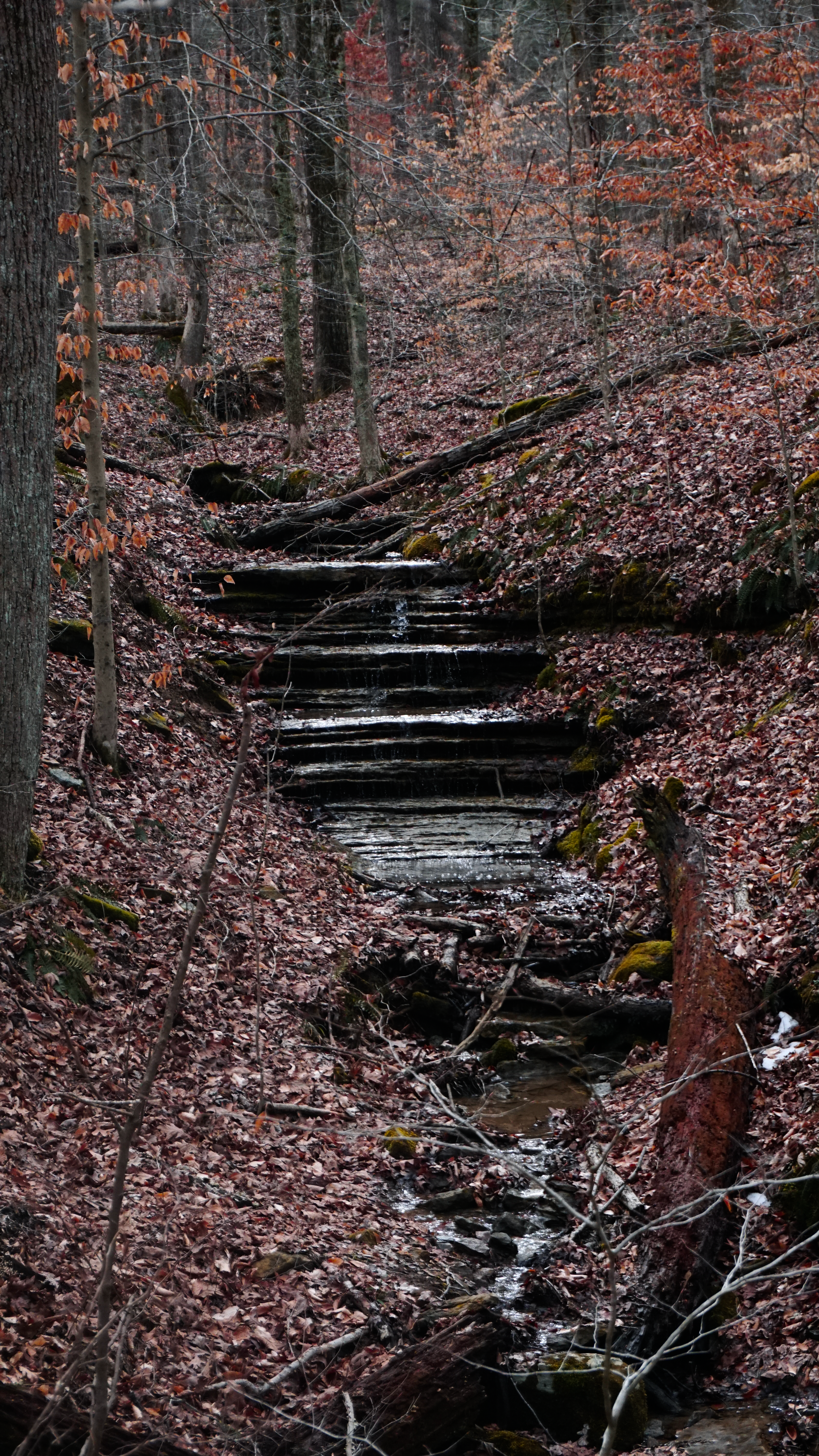 a small cascade along the hemlock cliffs scenic trail in indiana