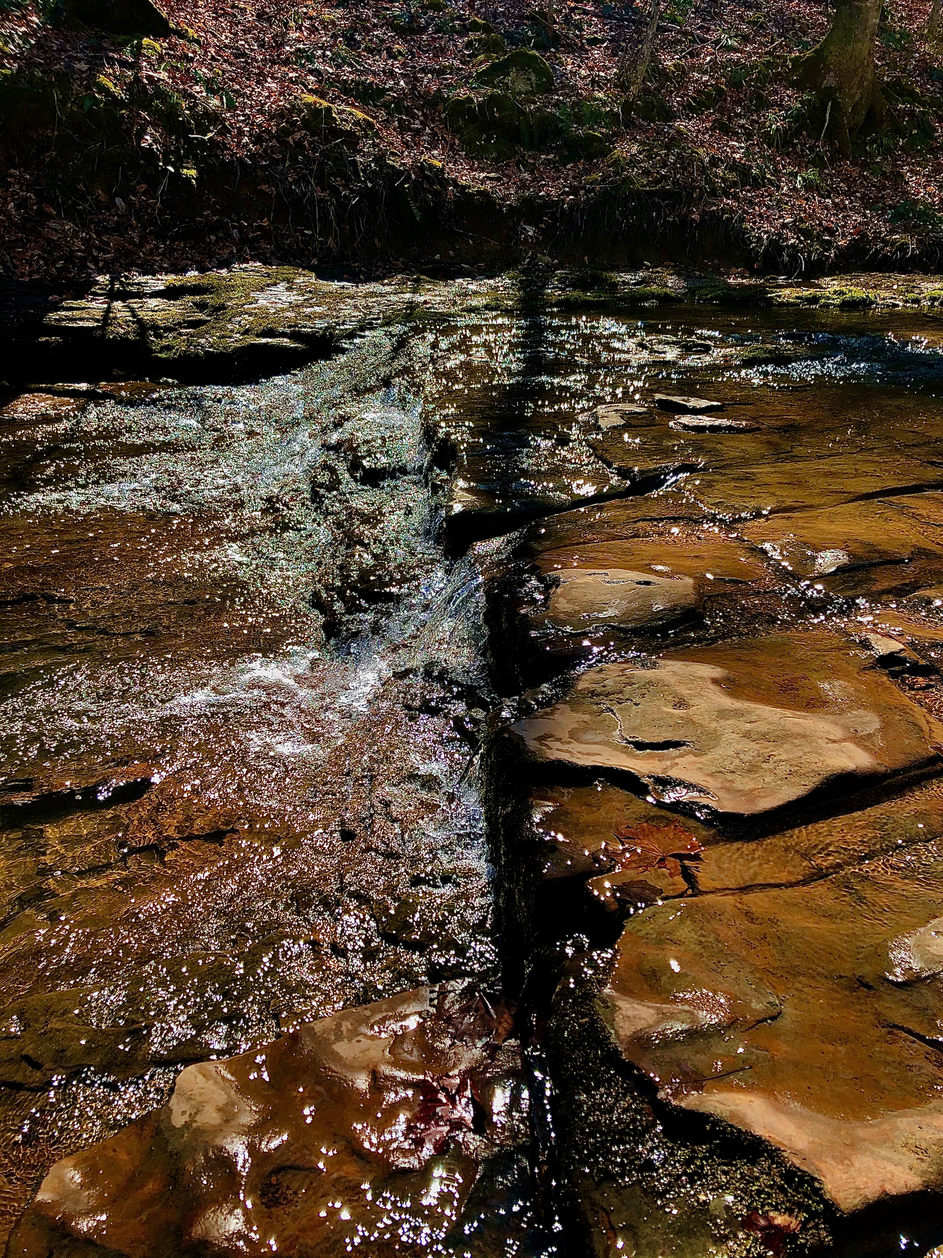 a small stream waterfall along a creek in hoosier national forest