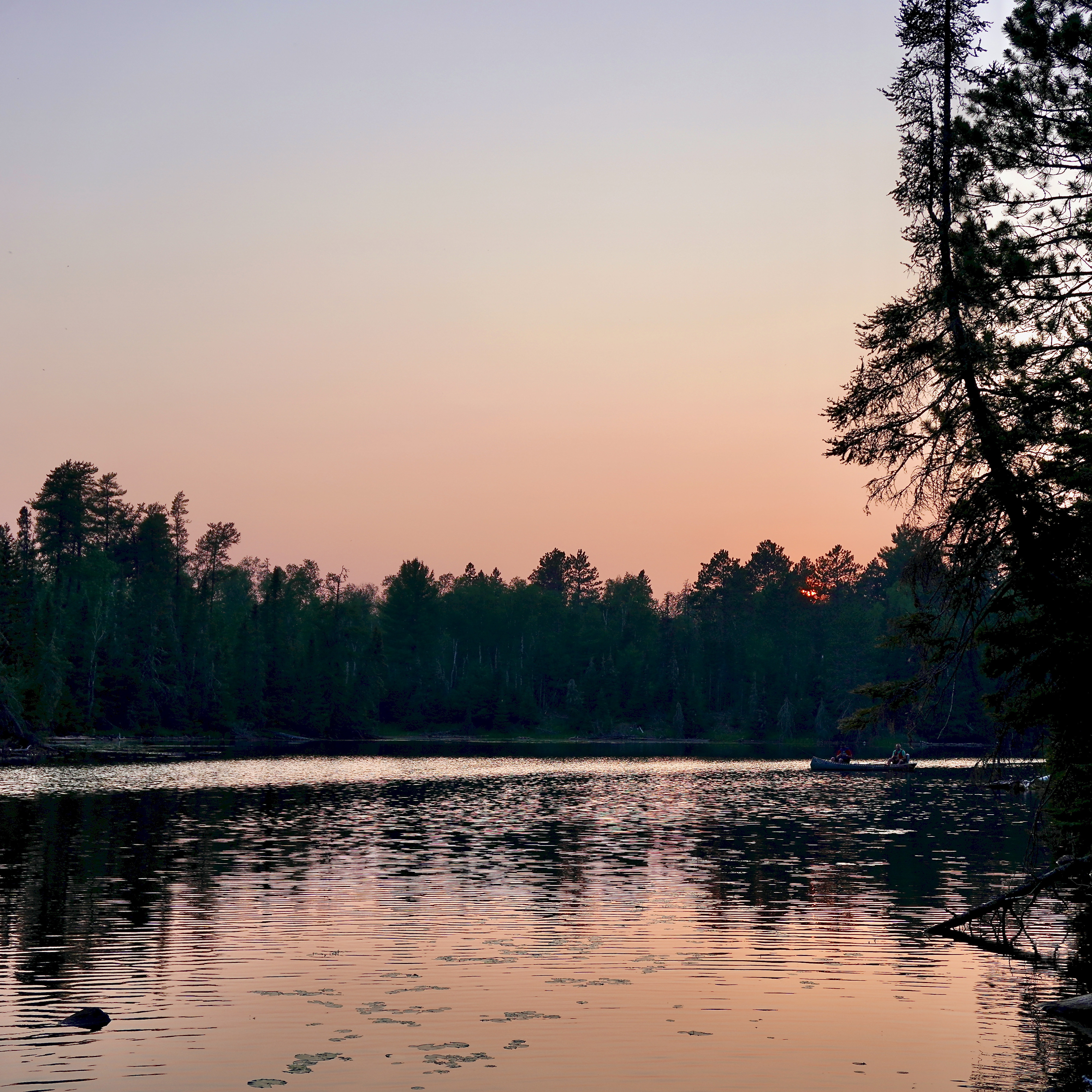 an orange sunset behind green pine forest and a lake in the foreground