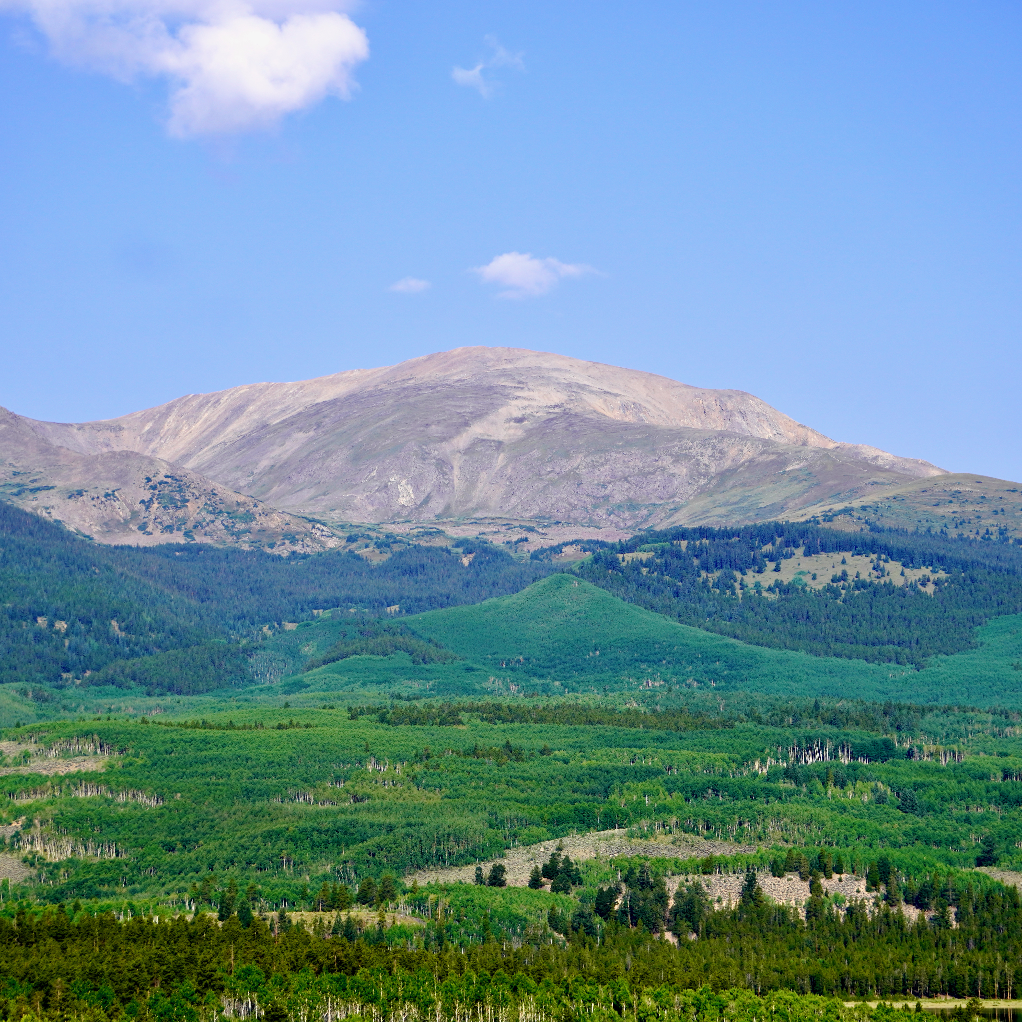 mt elbert with a brown peak and then green forest below tree line