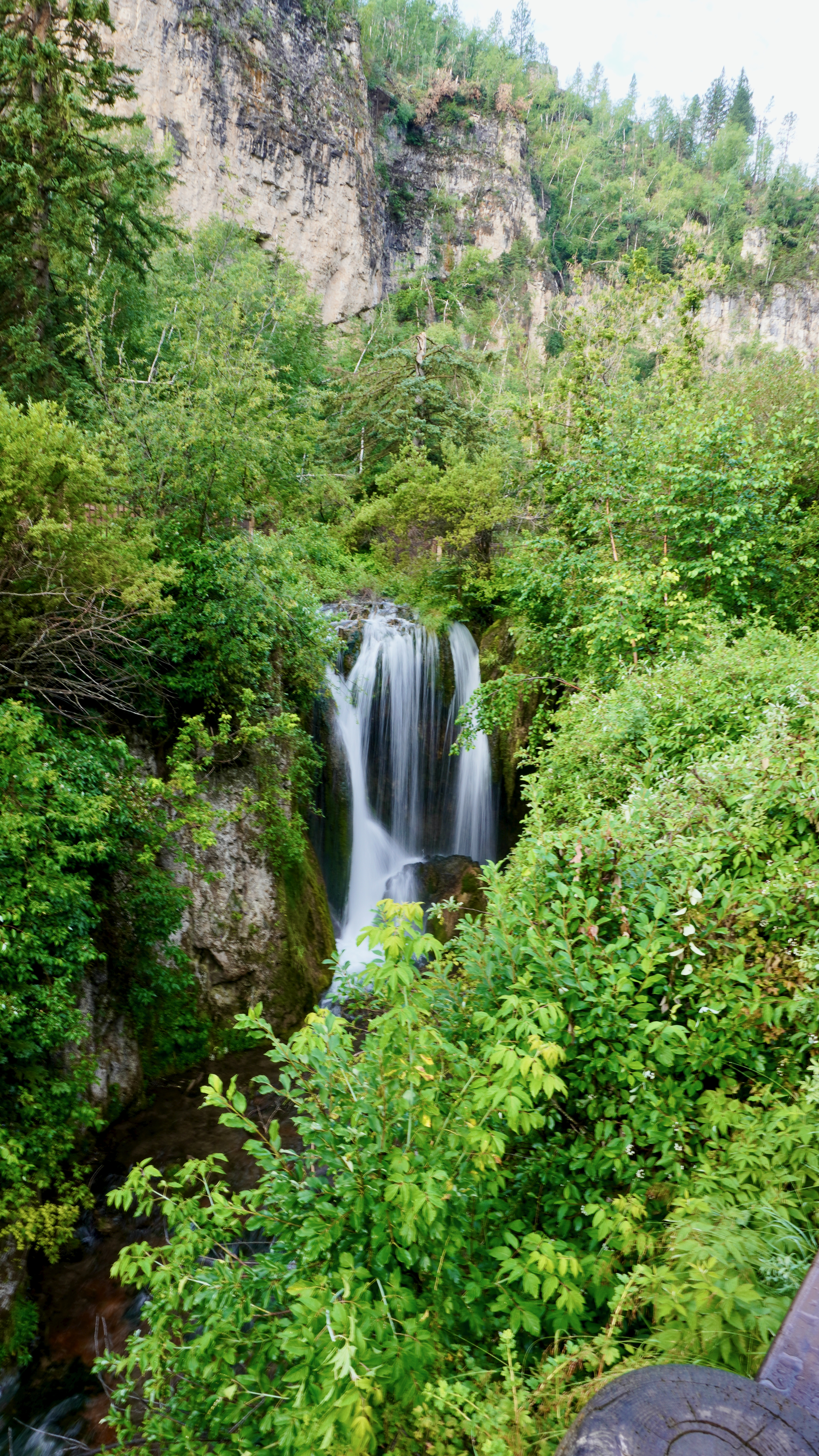 cliffs forest and grass around roughlock falls