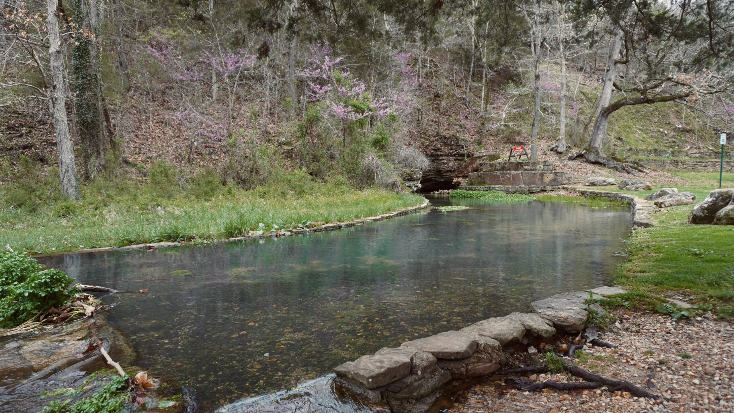 a small pond and spring flowing from a small cave on the side of the hill in withrow springs state park