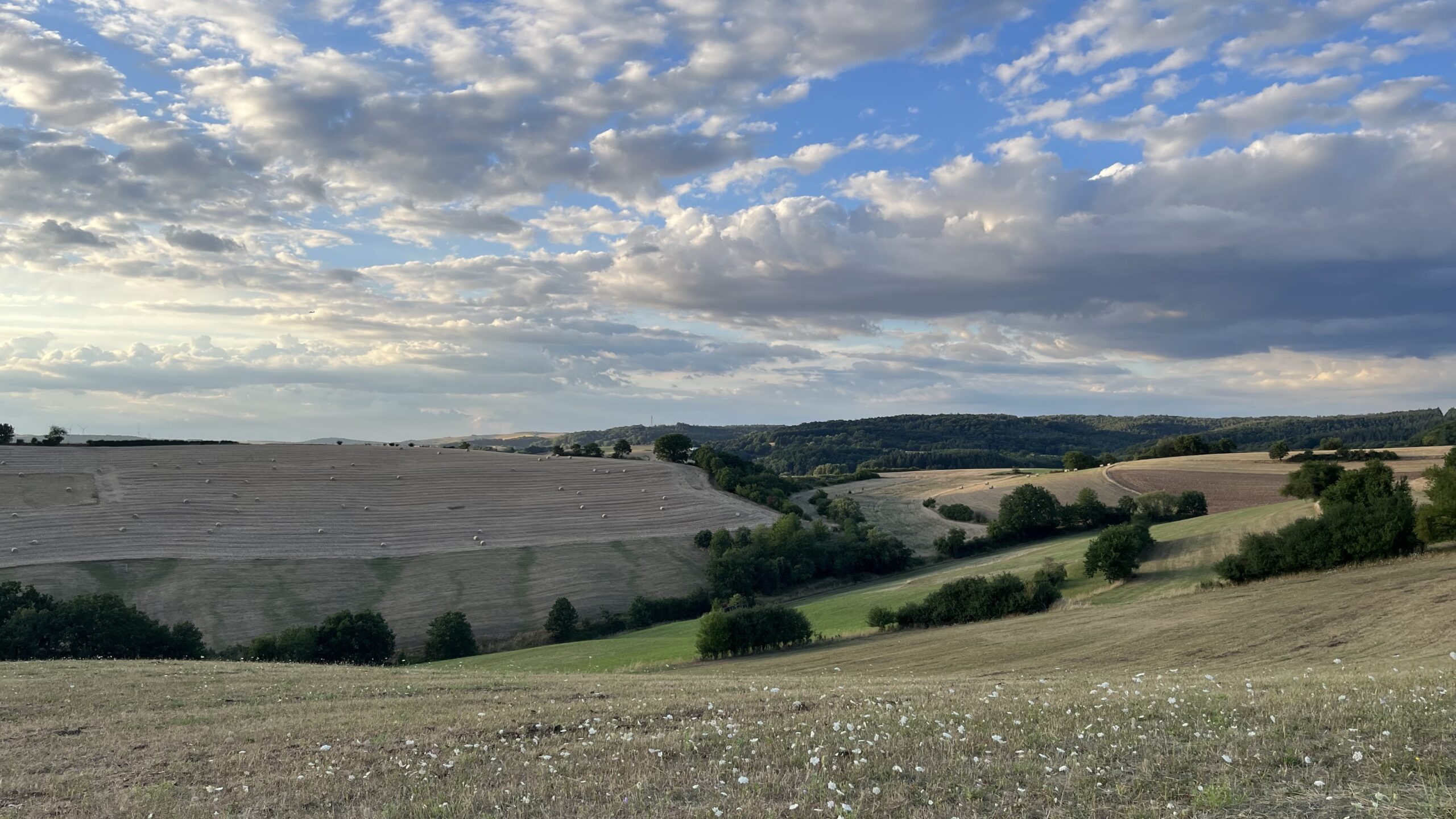 a partly cloudy blue sky with brown and green fields below in germany