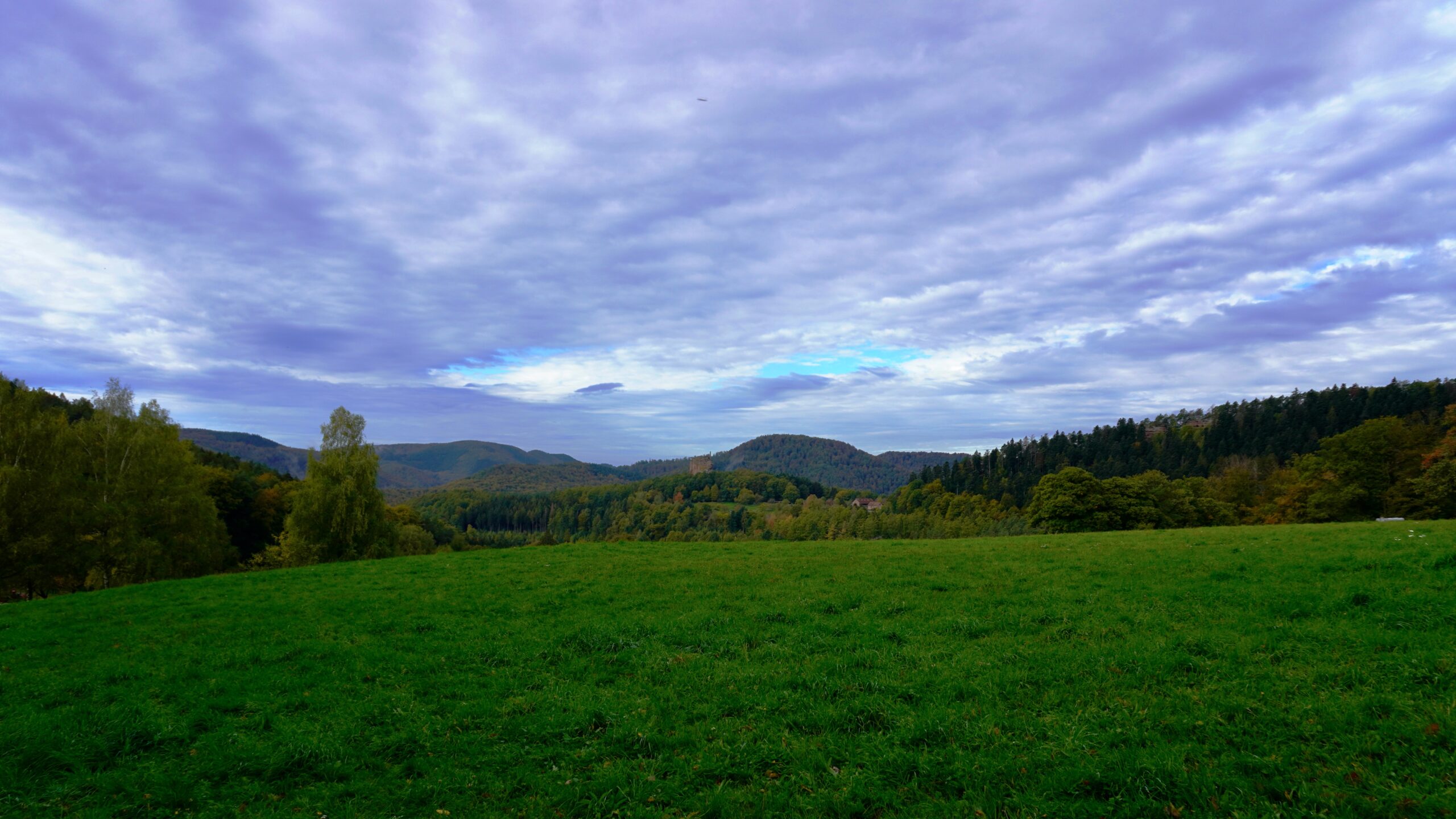 green forest surrounding fleckenstein castle in the distance