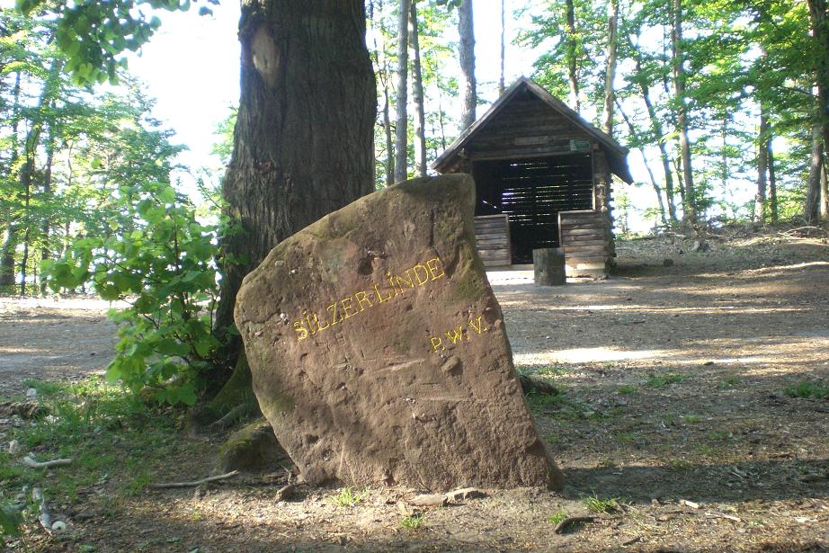 a stone marker with german writing next to a tree in the Palatinate Forest Germany near Kaiserslautern