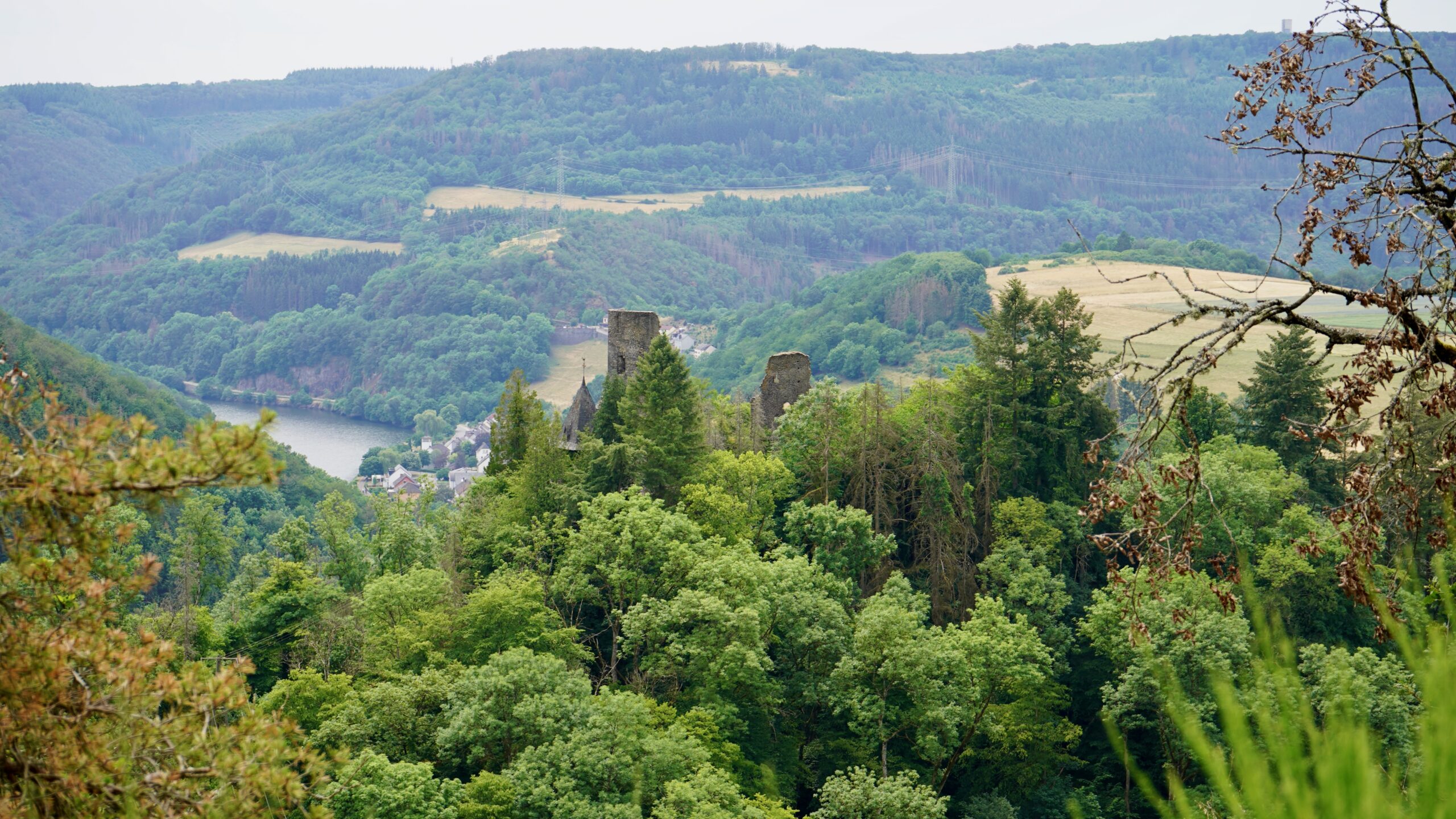 a green forest and our river behind falkenstein castle spires poking out of the forest