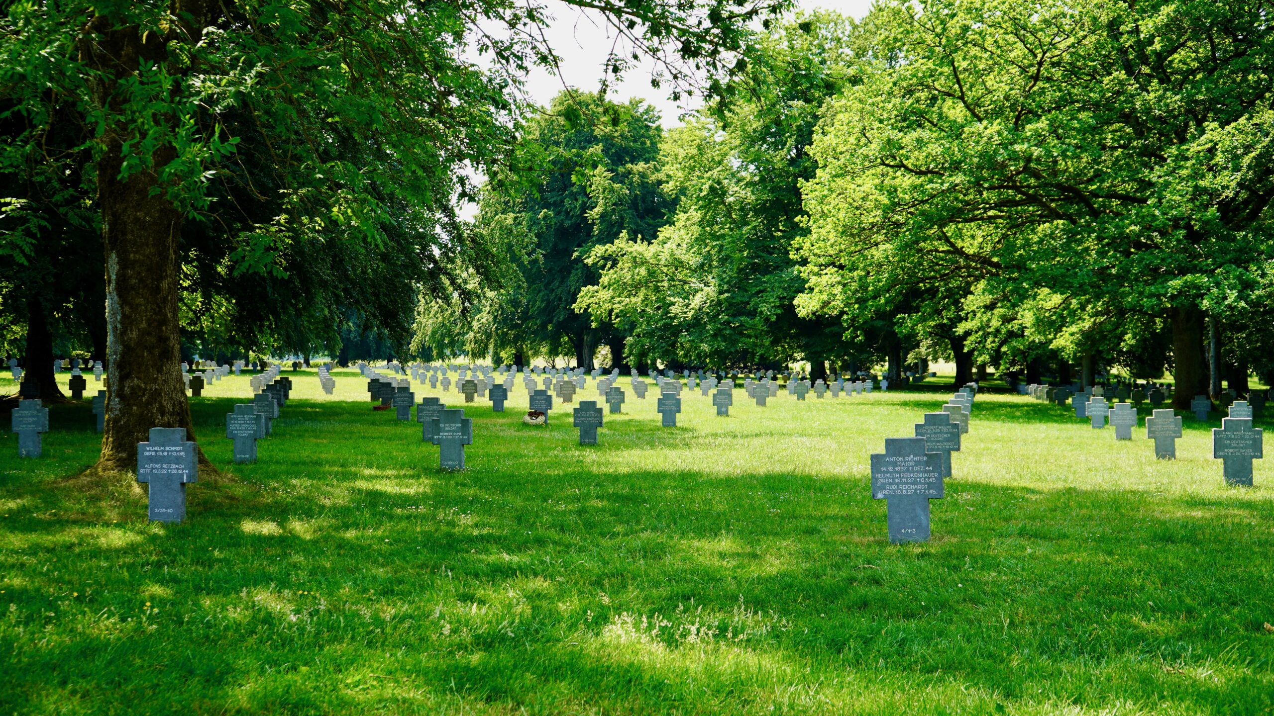 rows of cross shaped headstones in green grass and trees at a german war cemetery