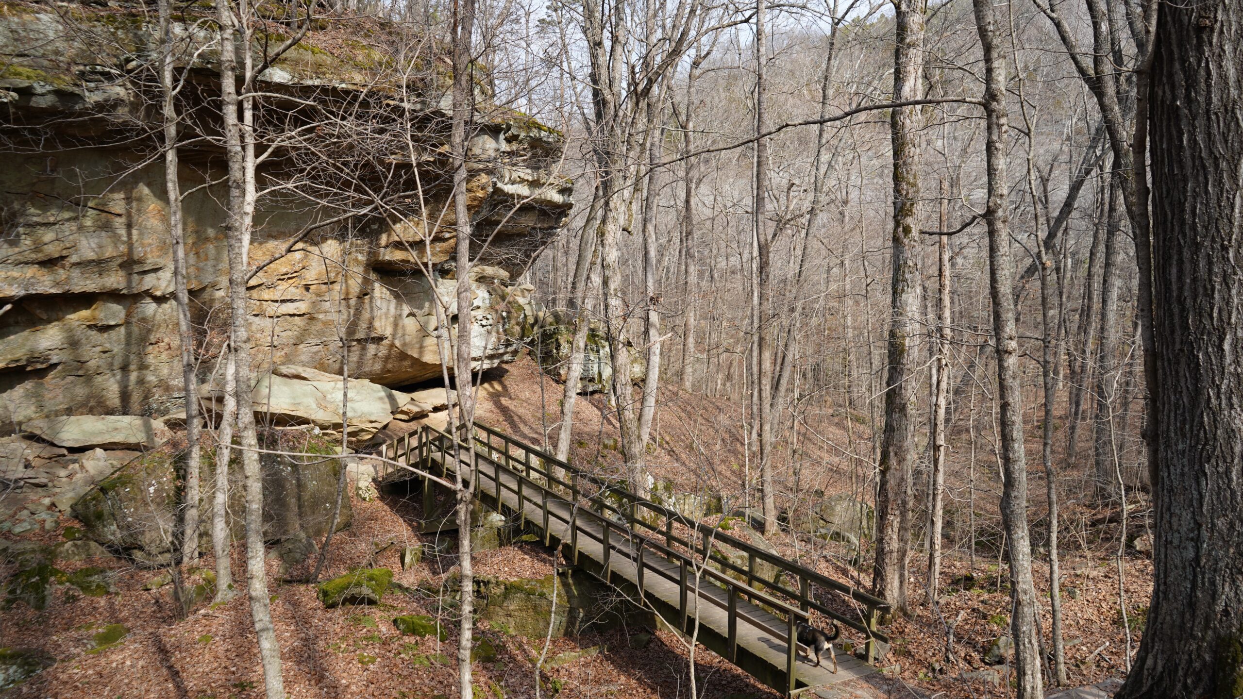 cliffs and a wooden foot bridge in shawnee national forest Illinois