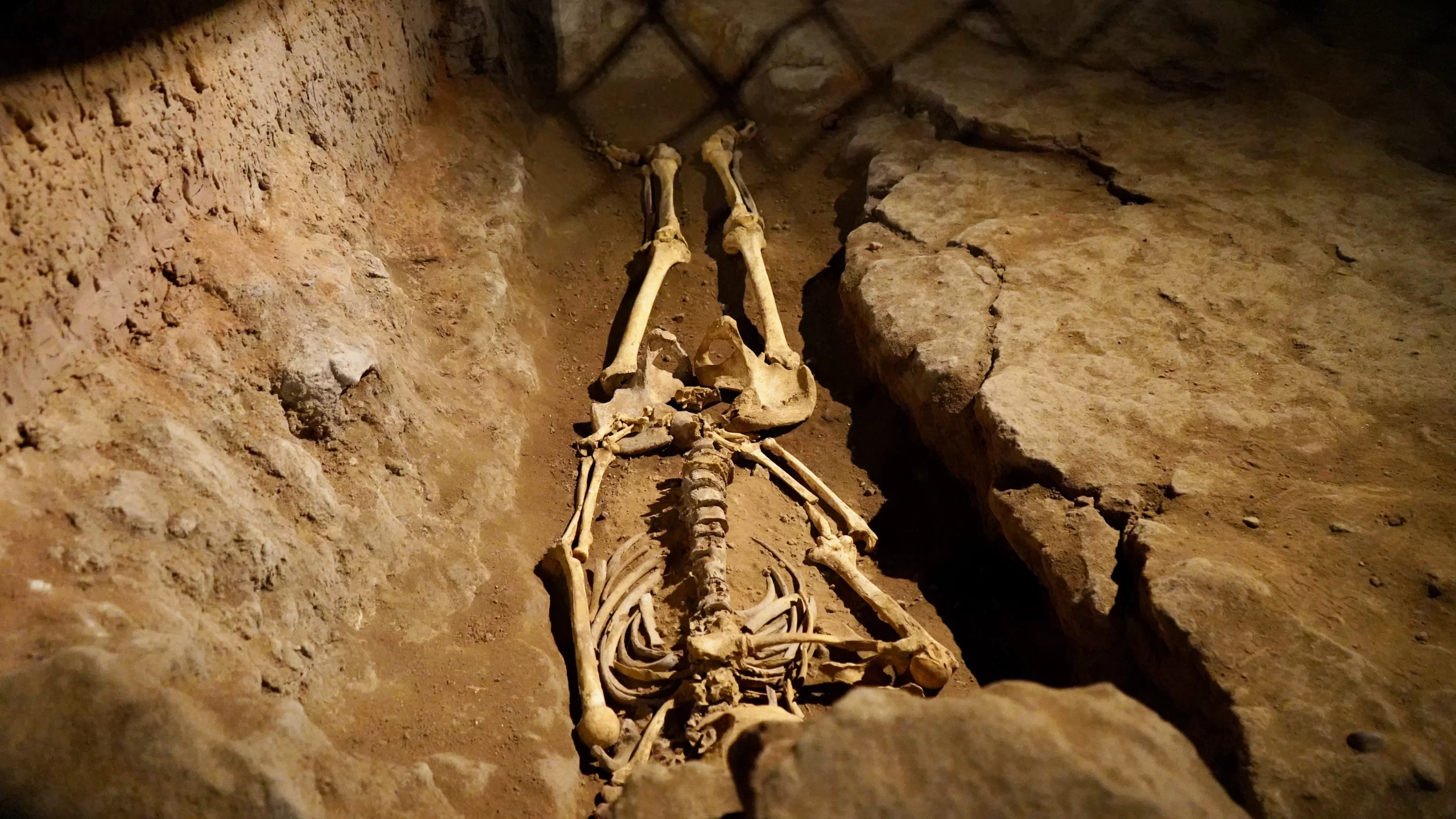 a skeleton under the Ktown palace during the tour