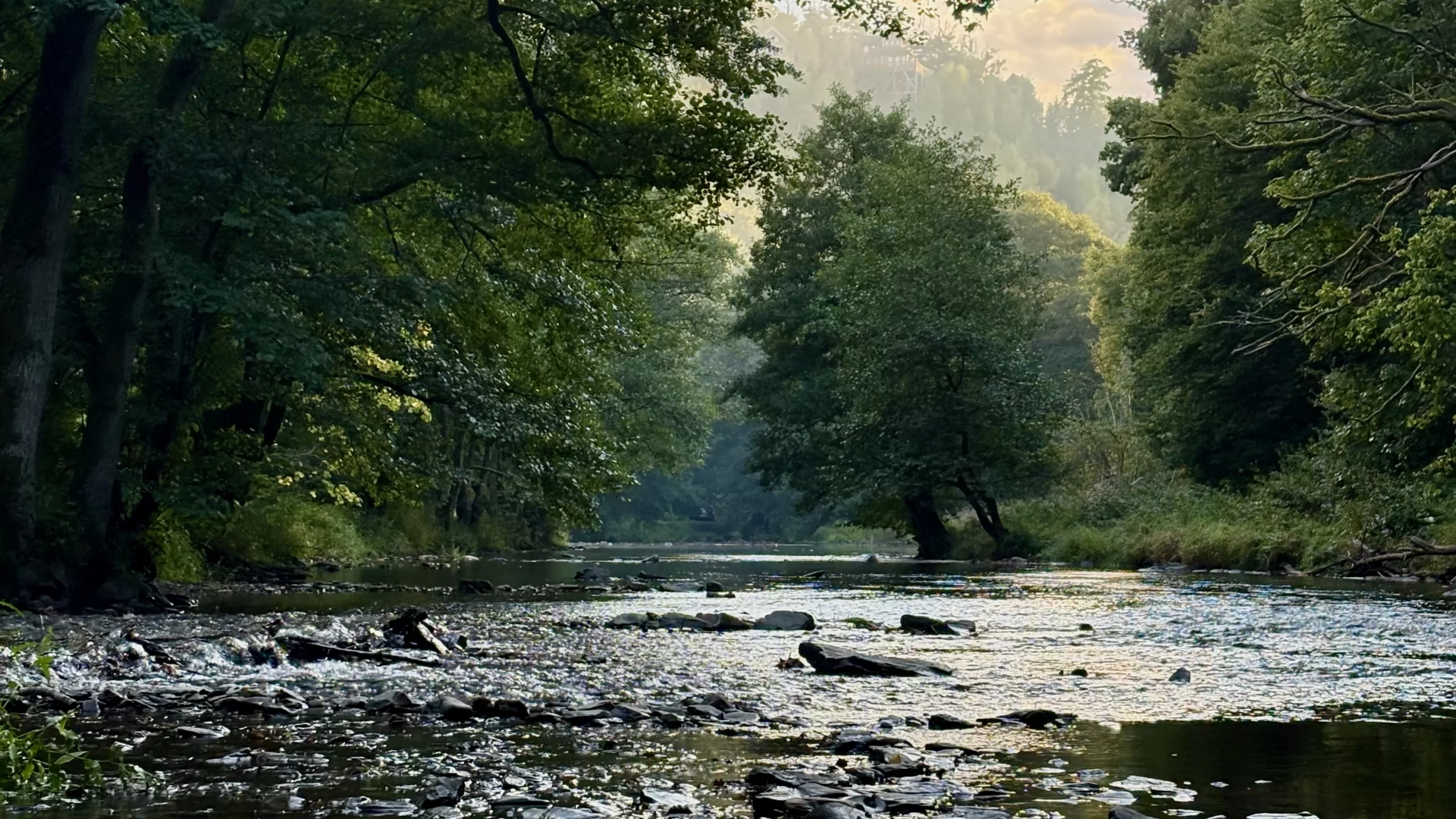 a shallow creek at our Belgian cabin getaway